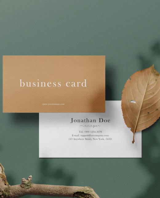 Clean minimal business card mockup on background with branches and dry leaf. PSD file.
